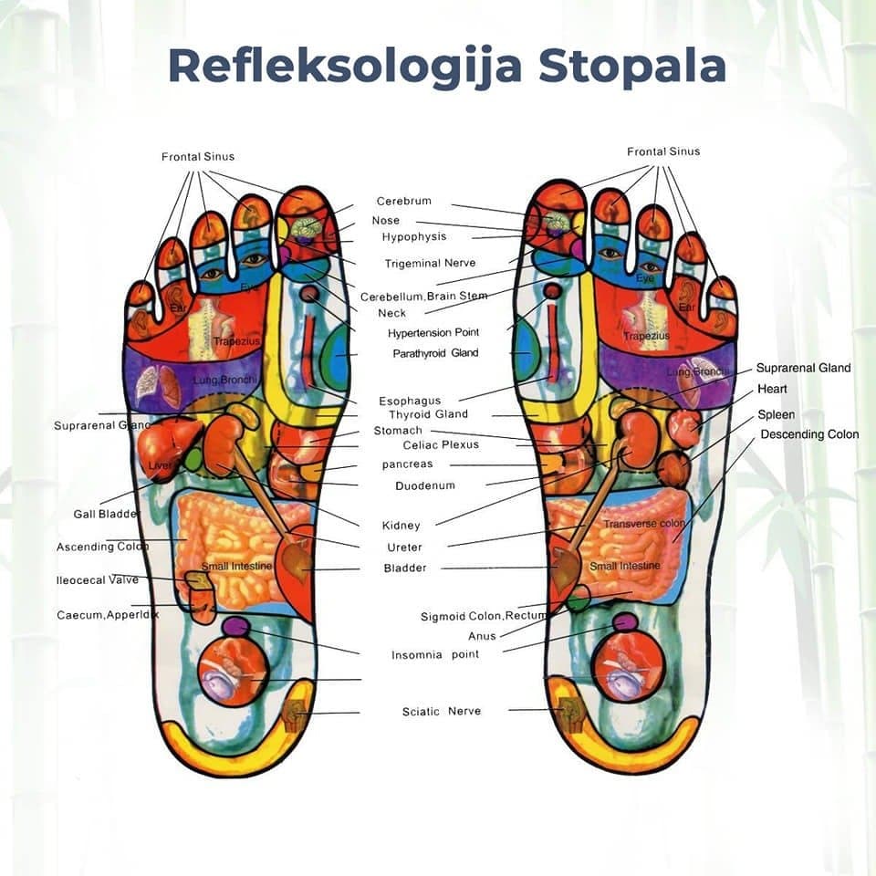 Kinoki flasteri za detoksikaciju - Brzishop